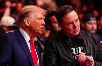 Trump Staff Makes Clear Elon Musk Is not the Chief of the GOP