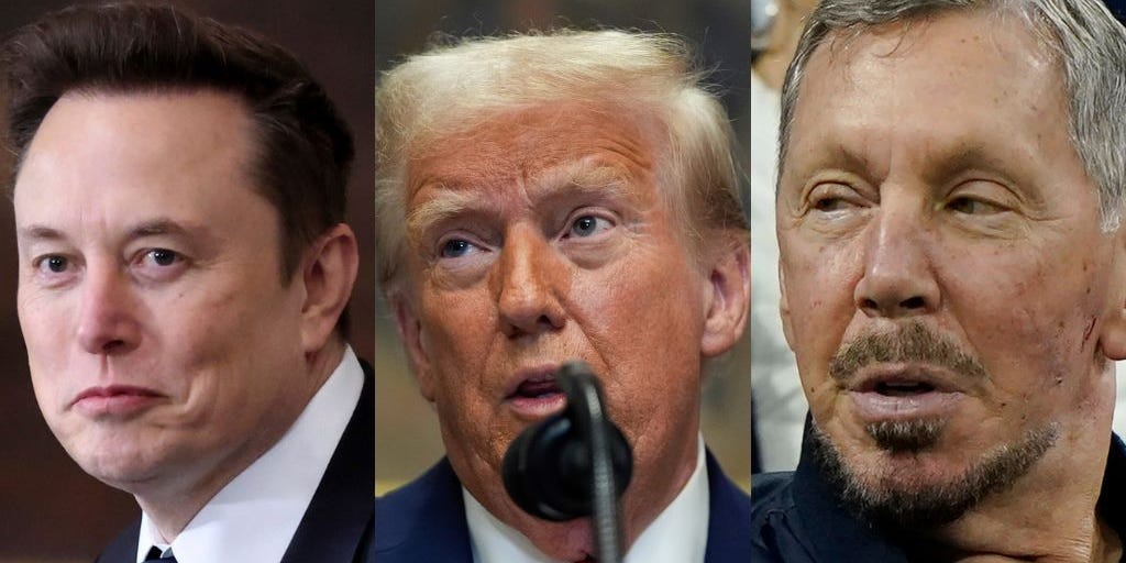 Elon Musk or Larry Ellison Might Purchase TikTok, Trump Says