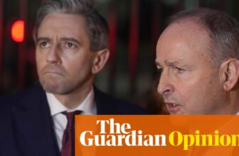 How ‘stroke’ politics saddled Eire’s new authorities with a fox within the hen home | Justine McCarthy