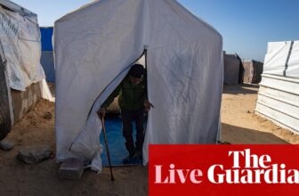 Center East disaster reside: Israeli strikes kill a minimum of 10 individuals in assault on al-Mawasi ‘secure zone’ | World information