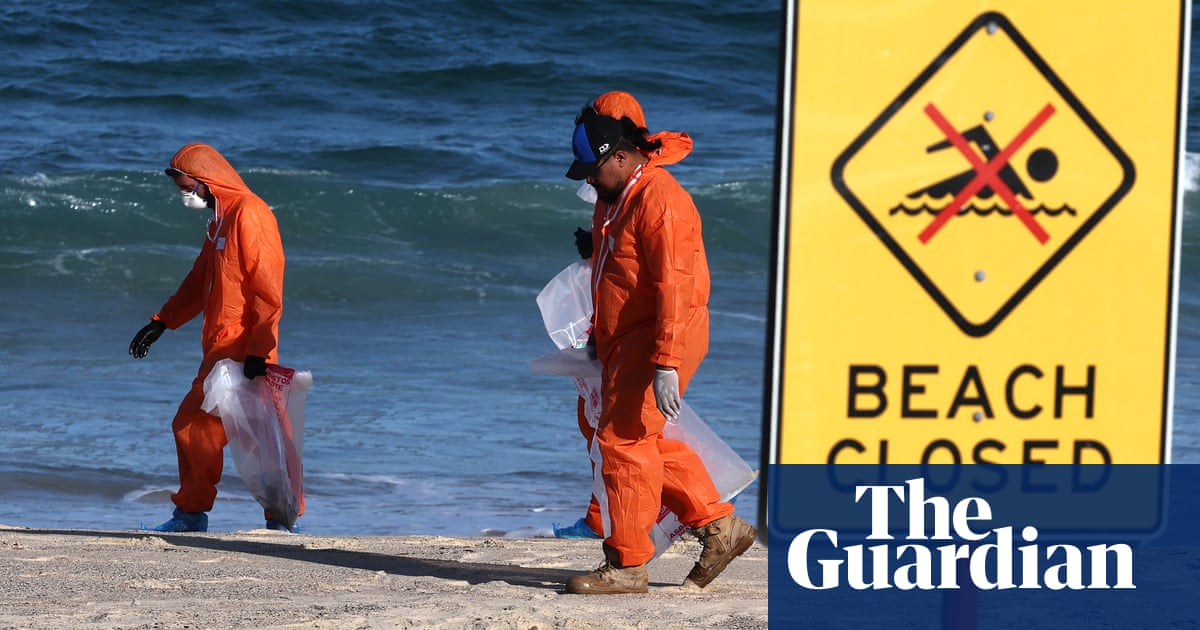 Thriller balls shut 9 northern Sydney seashores months after fatbergs washed ashore | New South Wales