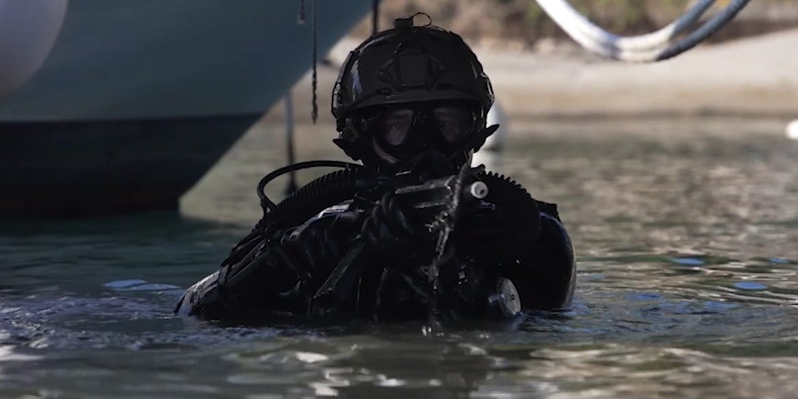 NATO Turned to Elite Divers to Check Shields for at-Threat Undersea Traces