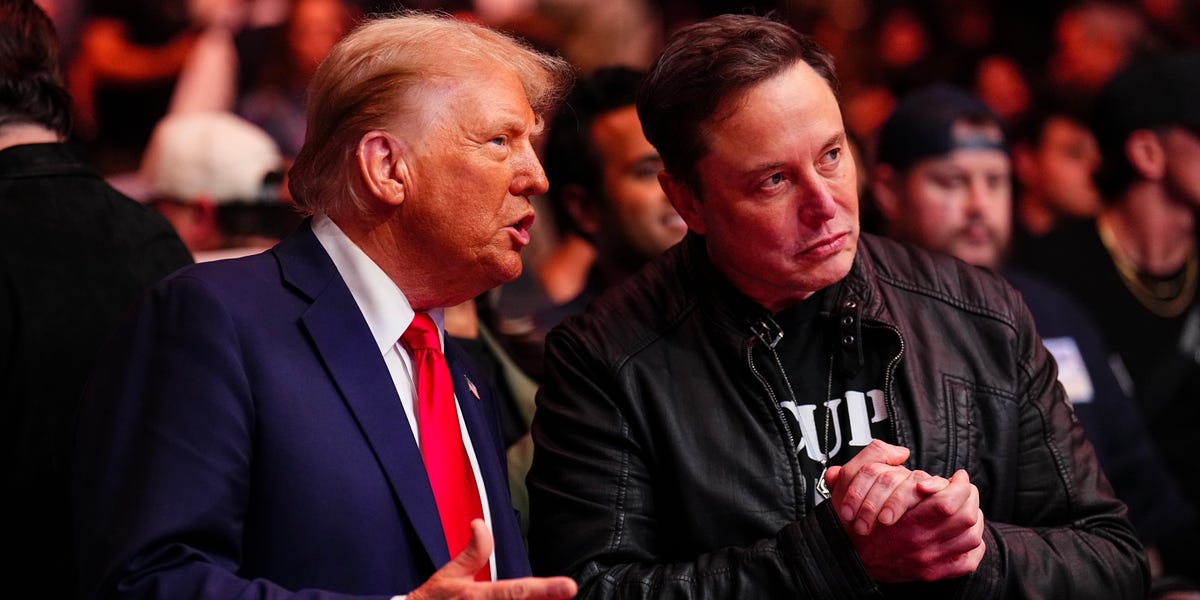 Photographs: Trump and Musk’s Put up-Election Bromance