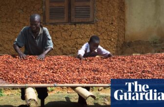 Local weather disaster contributing to chocolate market meltdown, analysis finds | Local weather disaster