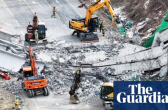 Dashcam footage exhibits lethal bridge collapse in South Korea | South Korea
