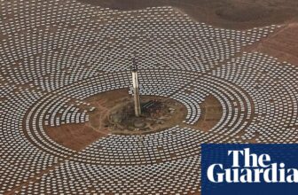 Europe greenwashing with north Africa’s renewable power, report says | Renewable power