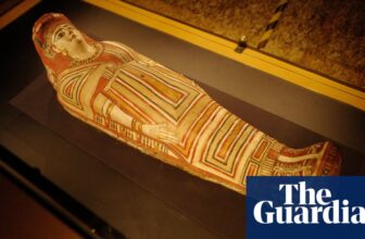 Odor like an Egyptian: researchers sniff historic mummies to review preservation | Egyptology