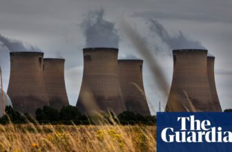 UK halves subsidies for Drax and says it should use 100% sustainable wooden | Power business
