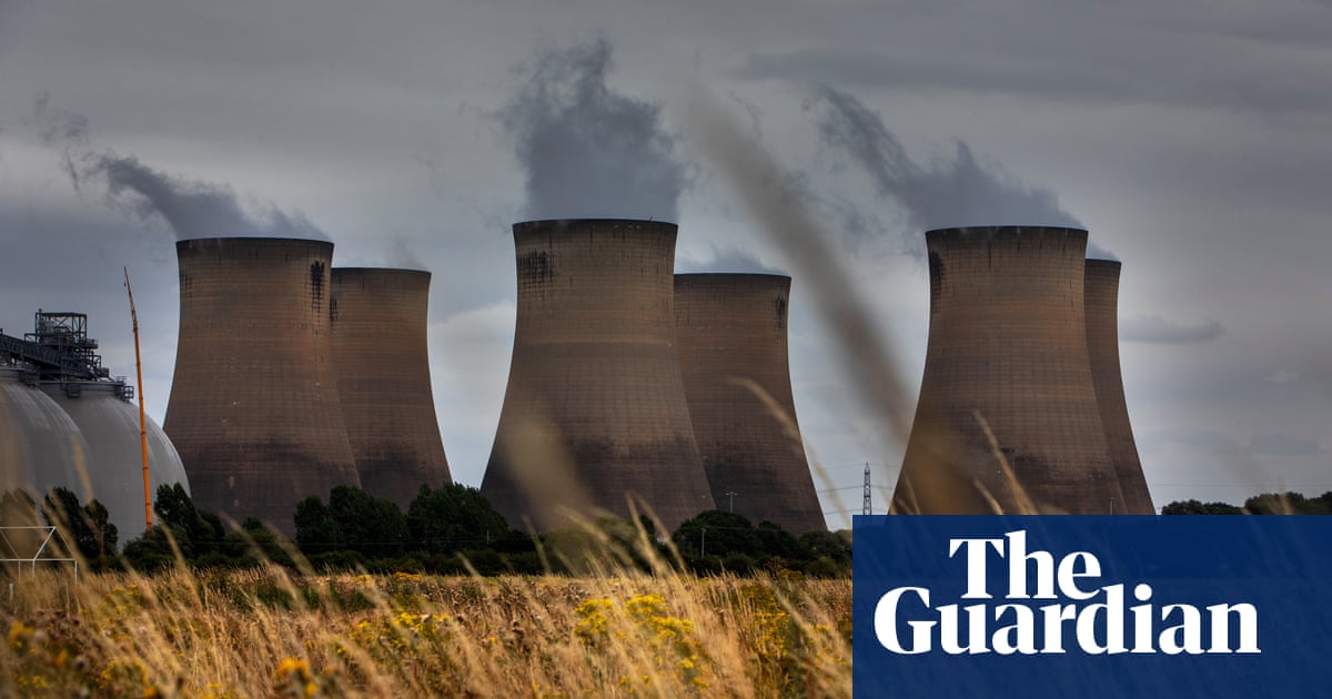 UK halves subsidies for Drax and says it should use 100% sustainable wooden | Power business