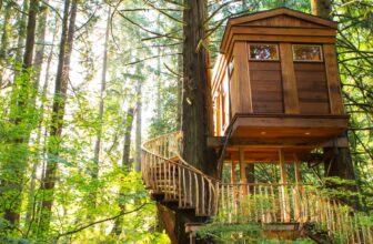 Stayed in Treehouses Throughout Trip: Why I Would not Do It Once more, Execs