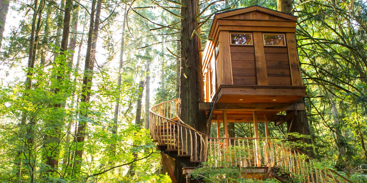 Stayed in Treehouses Throughout Trip: Why I Would not Do It Once more, Execs