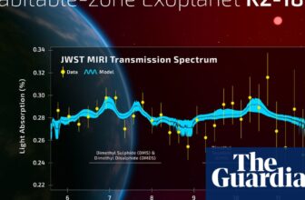 Are we alone? New discovery raises hopes of discovering alien life | Science