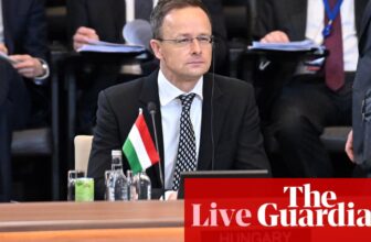 EU sanctions coverage ‘failed’ to make affect on Russia, says Hungarian minister – Europe dwell | World information