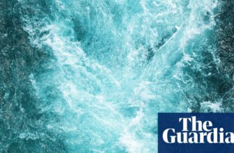 Is a River Alive? by Robert Macfarlane assessment – streams of consciousness | Science and nature books