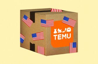 My Order From Temu Is Avoiding Import Expenses