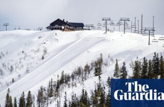 ‘We bought caught in puddles’: skiers upset by lack of snow on Swedish slopes | Ski resorts