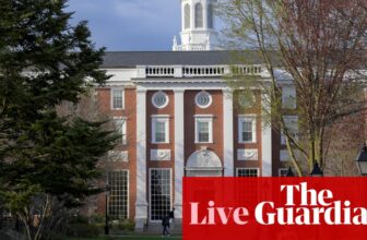 China pledges help for abroad college students after Trump’s newest assault on Harvard – US politics stay | US information