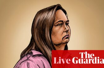 Erin Patterson homicide trial stay: witnesses proceed to offer proof on day 11 of the alleged mushroom homicide case | Victoria