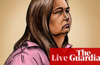 Erin Patterson trial stay: witnesses proceed giving proof on day eight of mushroom prepare dinner’s homicide trial | Victoria