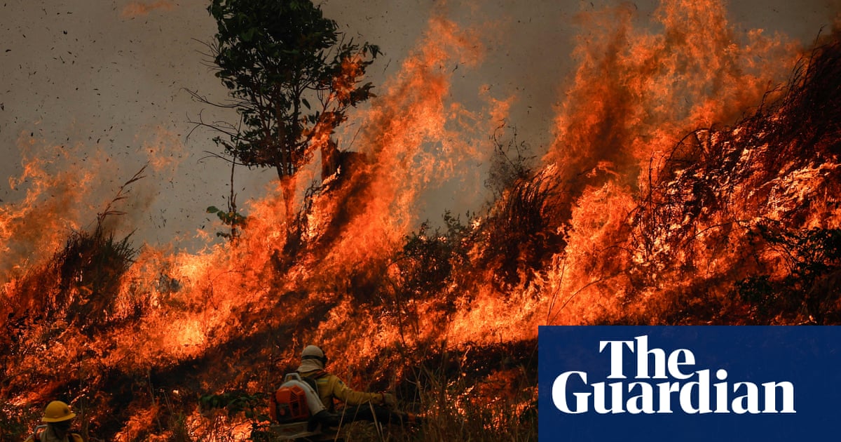 Fires drove report lack of world’s forests final 12 months, ‘scary’ information exhibits | Deforestation Fires drove report lack of world’s forests final 12 months, ‘scary’ information exhibits | Deforestation