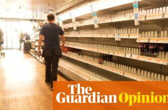 If our future is cyber-attacks and empty cabinets on the Co-op, right here’s what we should always do subsequent | Hugh Muir