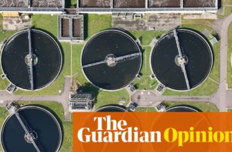 MPs shouldn’t settle for any murky solutions from Thames Water chair on potential sale | Nils Pratley
