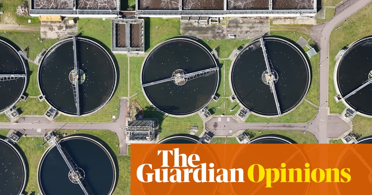MPs shouldn’t settle for any murky solutions from Thames Water chair on potential sale | Nils Pratley MPs shouldn’t settle for any murky solutions from Thames Water chair on potential sale | Nils Pratley