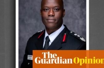 Maga’s ‘DEI rent’ taunt is an age-old grievance reignited. And it’s spreading | Gaby Hinsliff