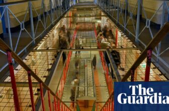 Shabana Mahmood considers chemical castration for critical intercourse offenders | Prisons and probation