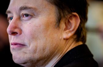 Tesla Chair Denies the Firm Thought of Changing Elon Musk As CEO