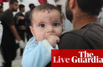 UN warns 14,000 infants may die in Gaza in subsequent 48 hours with out support – Israel-Gaza warfare stay | Gaza