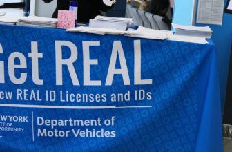 Girls Face Chaos Attempting to Get a Actual ID