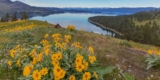 Finest Issues to Do Close to Glacier Nationwide Park, From a Montana Native