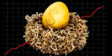 Eggs Would possibly Be Costly for a Lengthy Time: Fowl Flu, Altering Tastes