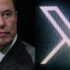 AI is growing quick, however regulators have to be quicker | Synthetic intelligence (AI)