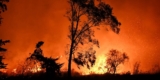 LA Fireplace: Excessive Winds Anticipated to Worsen Blazes As New Fireplace Springs up