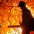 Heidi Montag Tops ITunes Charts After LA Fires: Will She and Spencer Pratt Revenue?