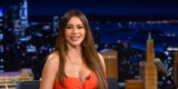 Sofía Vergara Says Relationship a Man With Much less Cash Would Be a ‘Nightmare’